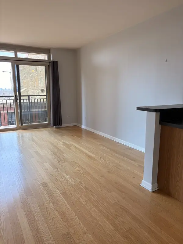 1111 S Wabash AVE #909, Chicago, IL 60605