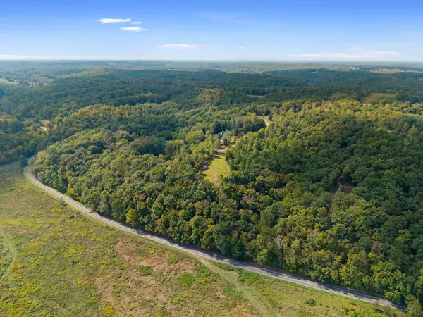7131 Songbird Springs Lane, Franklin, TN 37064