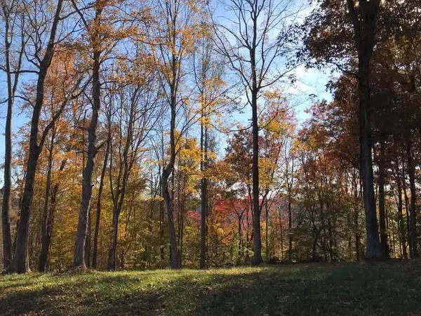 0 Beaver Ln, Gainesboro, TN 38562