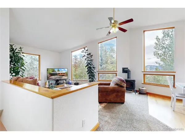 1360 Delwood, Bailey, CO 80421
