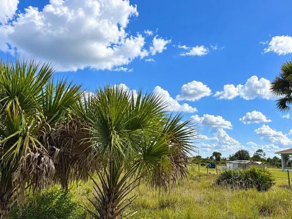 14516 NW 280TH ST, Okeechobee, FL 34972