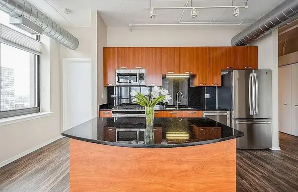 212 E Cullerton ST #1204, Chicago, IL 60616