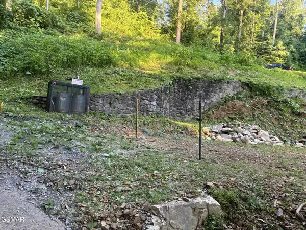 229 Silverbell Lane, Gatlinburg, TN 37738