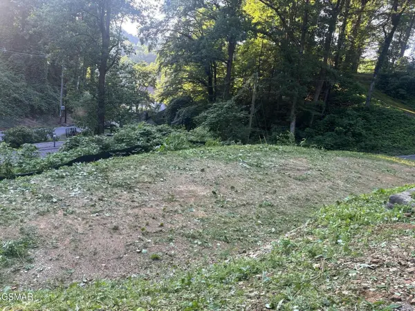 229 Silverbell Lane, Gatlinburg, TN 37738