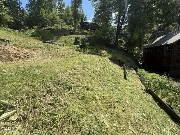 229 Silverbell Lane, Gatlinburg, TN 37738