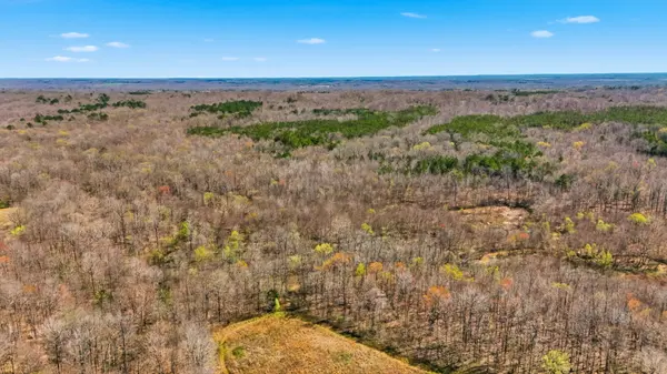 0 Fowler Rd, Beech Bluff, TN 38313