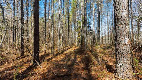 1 Fowler Rd, Beech Bluff, TN 38313