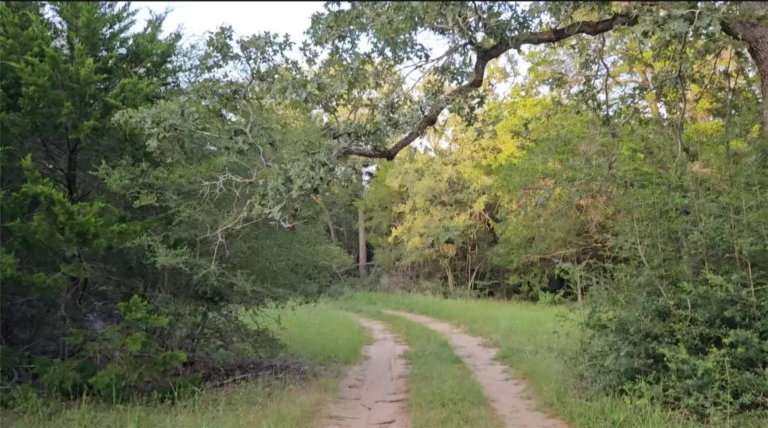 Ranch Land Easley RD, Smithville, TX 78957