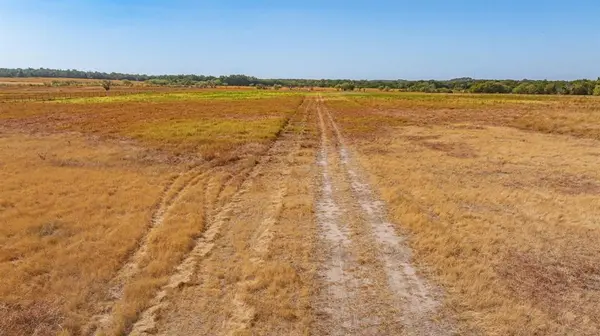 9931 Allison Court, Lipan, TX 76462