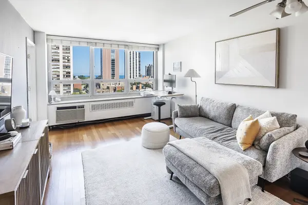 88 W Schiller ST #1003L, Chicago, IL 60610
