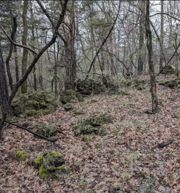 000 Honey Creek DR #Lot 3, Strafford, MO 65757