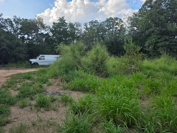 119 Turkey RUN, Cedar Creek, TX 78612