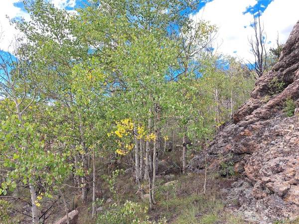 736 Stagestop, Jefferson, CO 80456