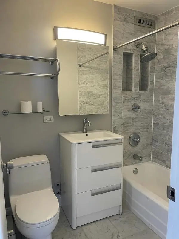 1455 N Sandburg TER #1609, Chicago, IL 60610