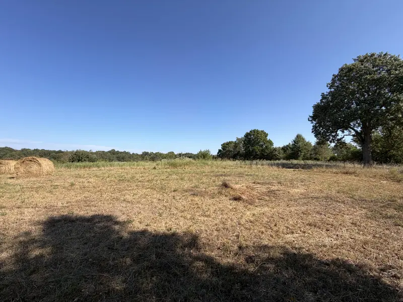 000 Greentown RD, Buffalo, MO 65622