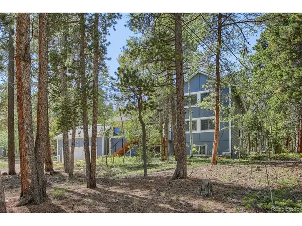 265 Caesar, Black Hawk, CO 80422