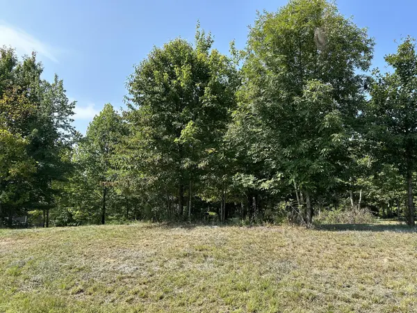 245 Lookout View Drive, Jasper, TN 37347