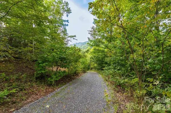 25 Lila LN #209, Clyde, NC 28721