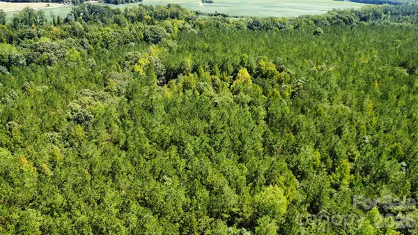 0000 Blair Hendrick RD, Mt Croghan, SC 29727