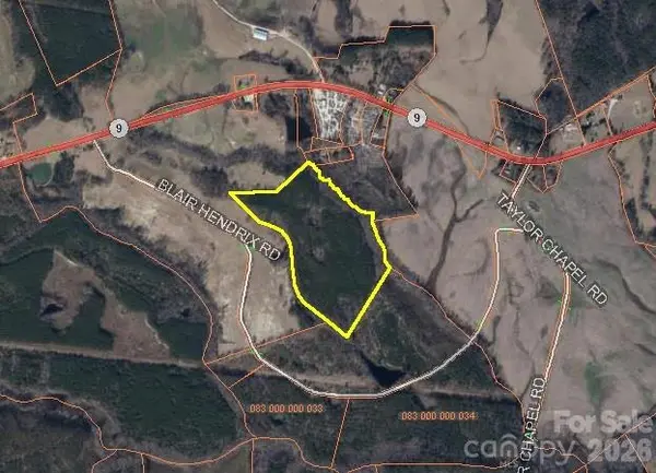 0000 Blair Hendrick RD, Mt Croghan, SC 29727