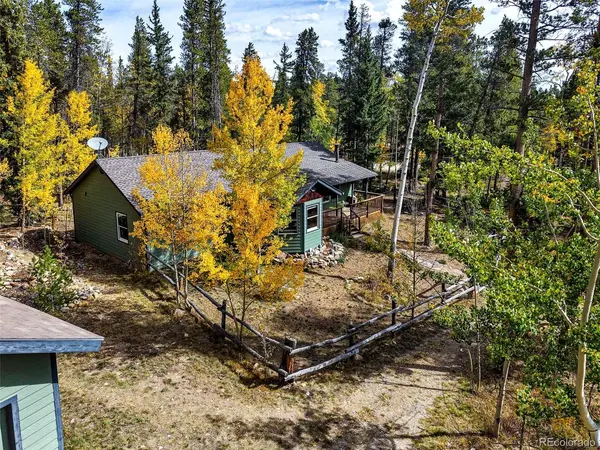 37 Briscoe, Alma, CO 80420