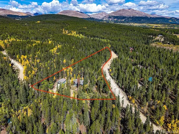 37 Briscoe, Alma, CO 80420