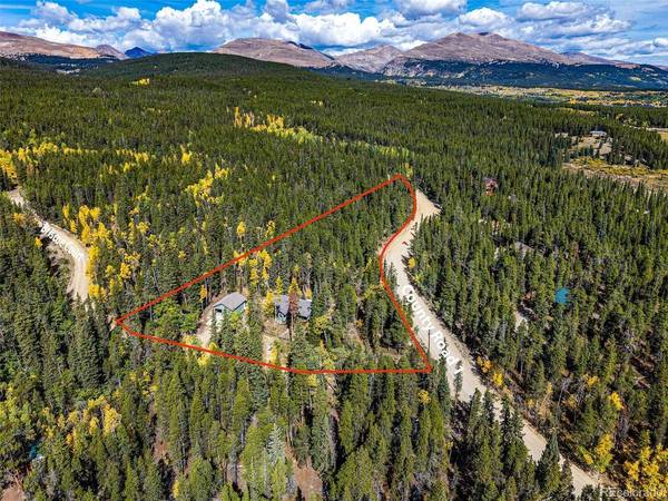37 Briscoe, Alma, CO 80420
