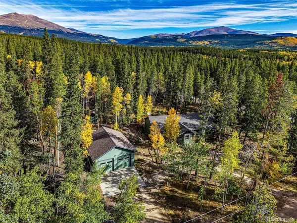 37 Briscoe, Alma, CO 80420