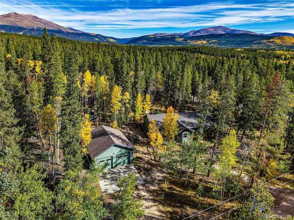 37 Briscoe, Alma, CO 80420