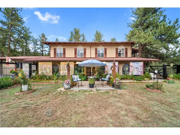 2400 County Road 43, Bailey, CO 80421