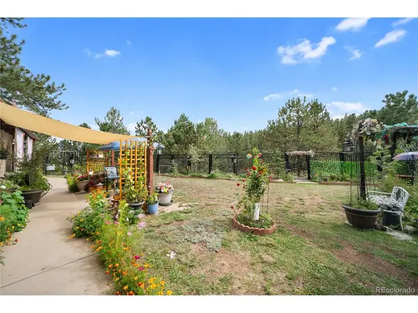 2400 County Road 43, Bailey, CO 80421