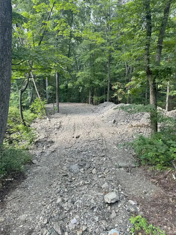 Lot 510455 Creek RD, Pleasant Valley, NY 12569