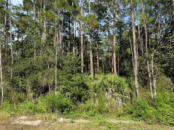 10TH AVE, Deland, FL 32724