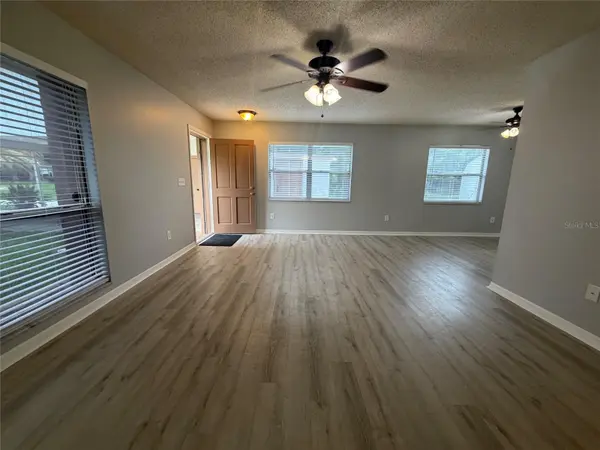 317 S LAKEVIEW AVE, Winter Garden, FL 34787