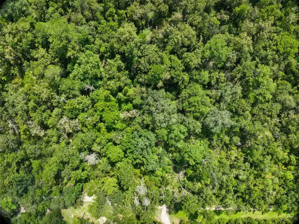 152ND PL, Wellborn, FL 32094
