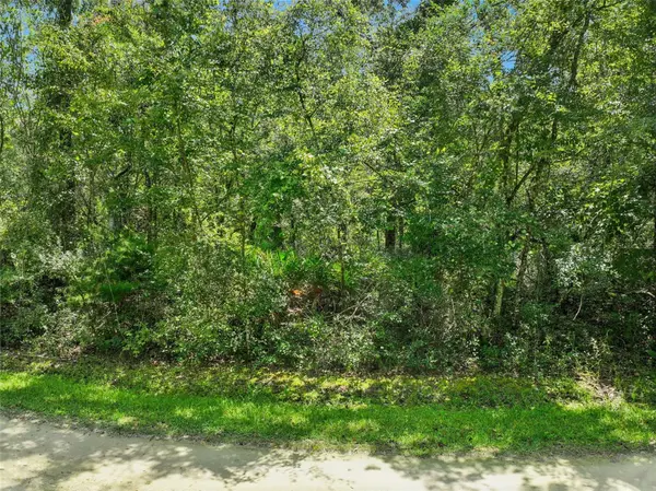 152ND PL, Wellborn, FL 32094