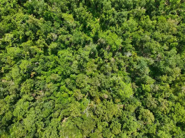 152ND PL, Wellborn, FL 32094