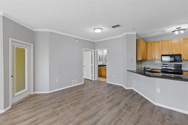 10105 COURTNEY OAKS CIR #203, Tampa, FL 33619