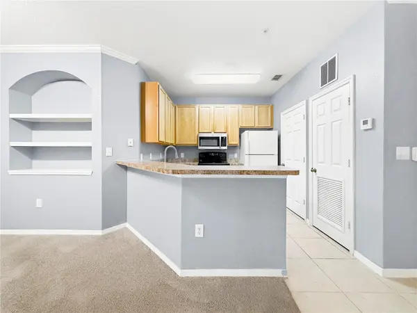10209 COURTNEY PALMS BLVD #203, Tampa, FL 33619