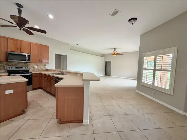 10146 BLOOMFIELD HILLS DR, Seffner, FL 33584