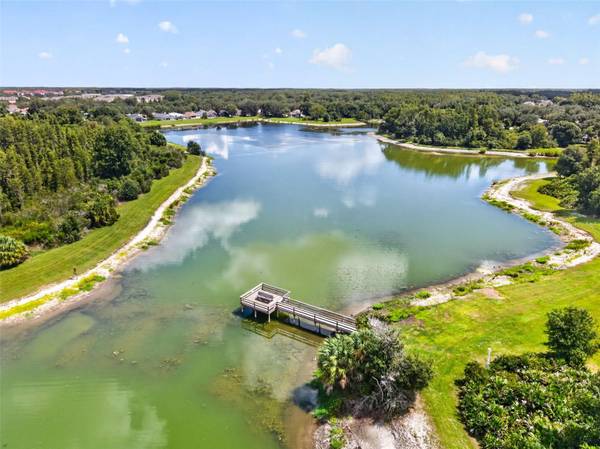 9136 HIGHLAND RIDGE WAY, Tampa, FL, 33647 photo 52