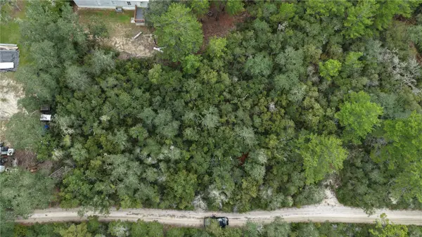 27 NE 235TH ST, Fort Mc Coy, FL 32134