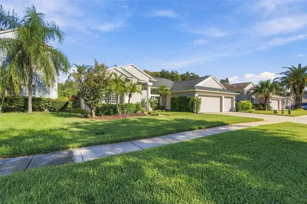 3125 ASHMONTE DR, Land O Lakes, FL 34638