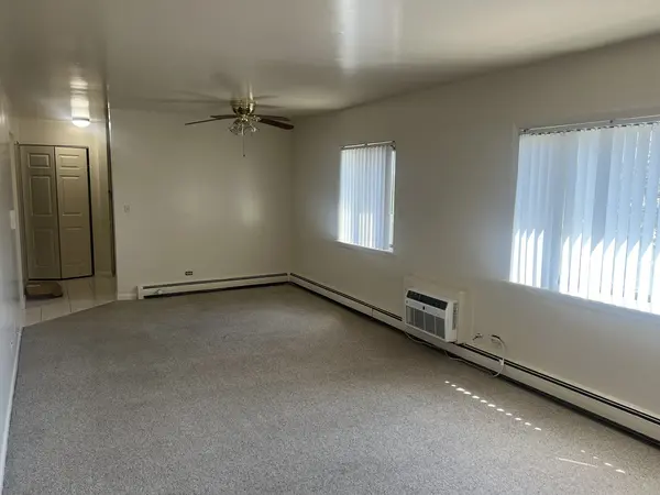 1852 S Anna Marie DR #303, Mount Prospect, IL 60056