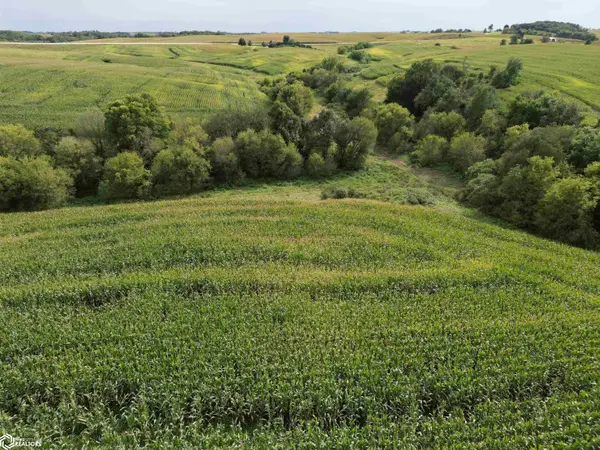 Kornhill RD, Wadena, IA 52142
