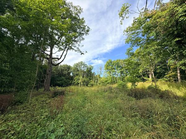 0 Harlee Court LOT 3, Waconia, MN 55387