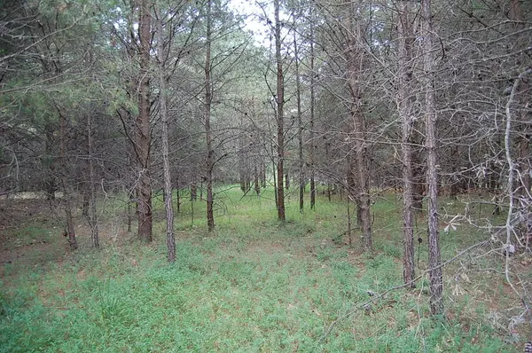 36 Bluff View Drive, Dunlap, TN 37327