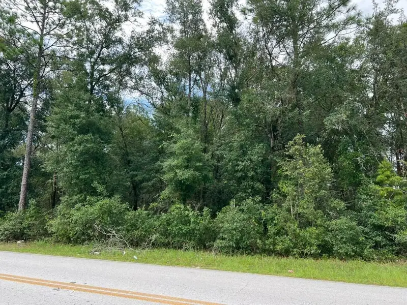 0 SE 132ND PL OCKLAWAHA, Ocklawaha, FL 32179