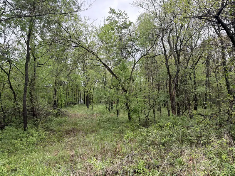 Tract 2 Ivy RD #10903200000018001, Carthage, MO 64836
