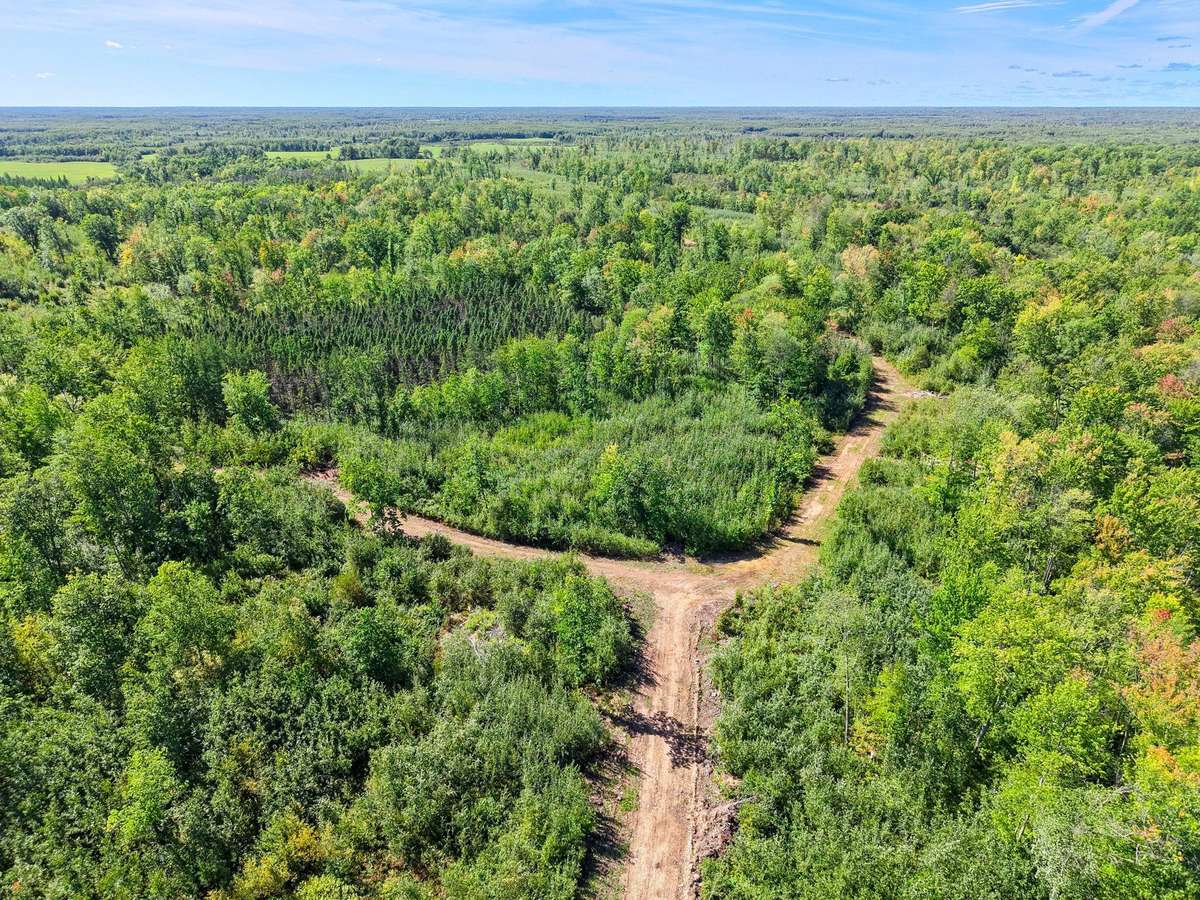 xxx Fleming Logging RD, Hinckley, MN 55037